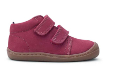 Koel Bob M Bordo