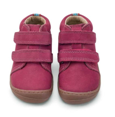 Koel Bob M Bordo
